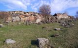 Энтели, image of landscape/habitat.