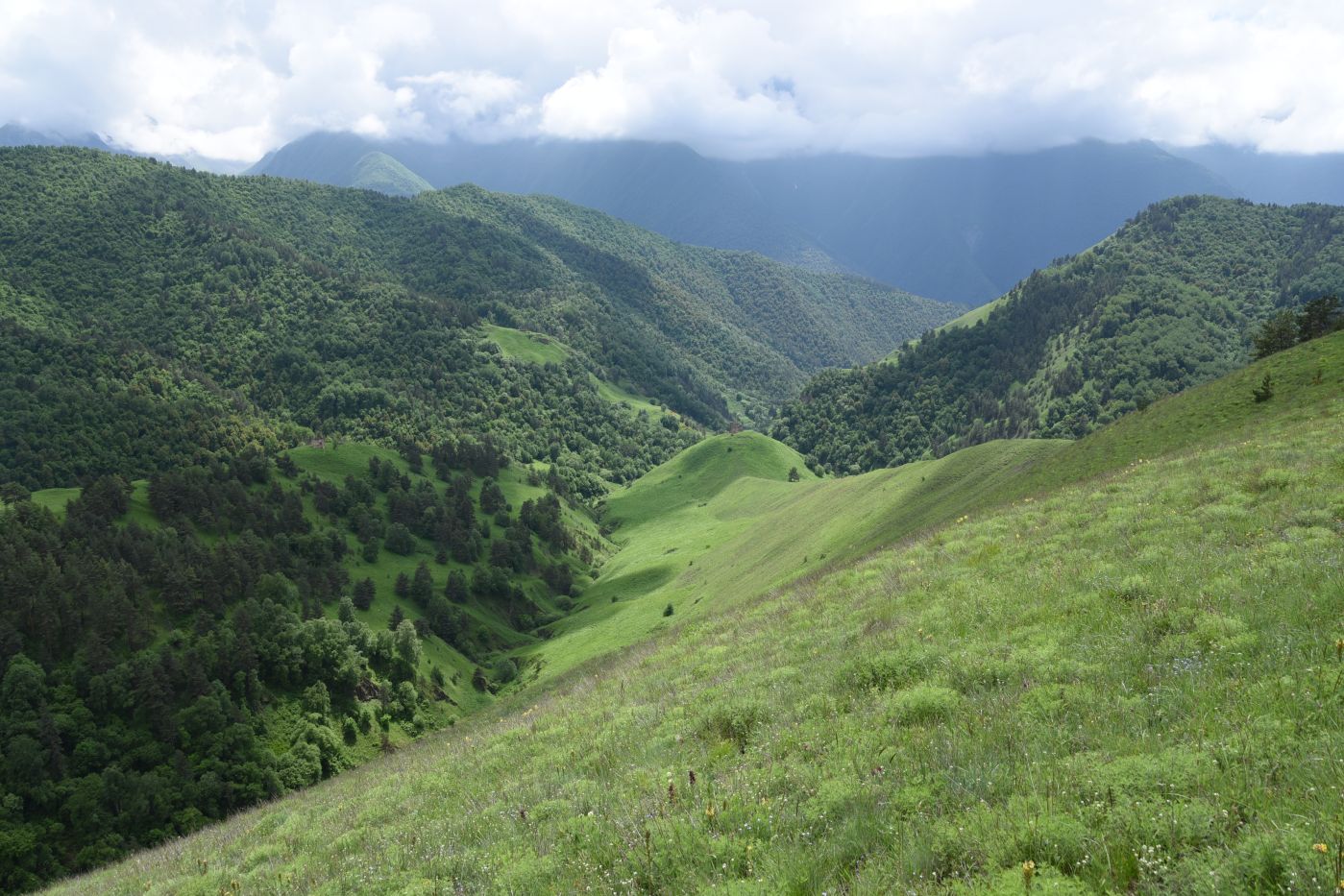 Окрестности урочища Кашети, image of landscape/habitat.