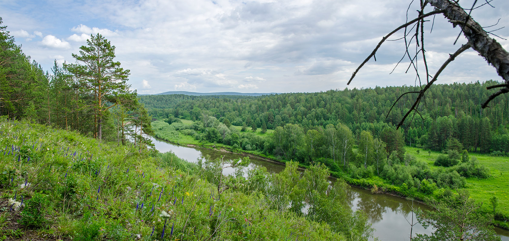 Перевоз, image of landscape/habitat.