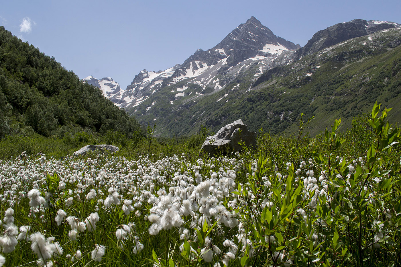 Ущелье Мырды, image of landscape/habitat.