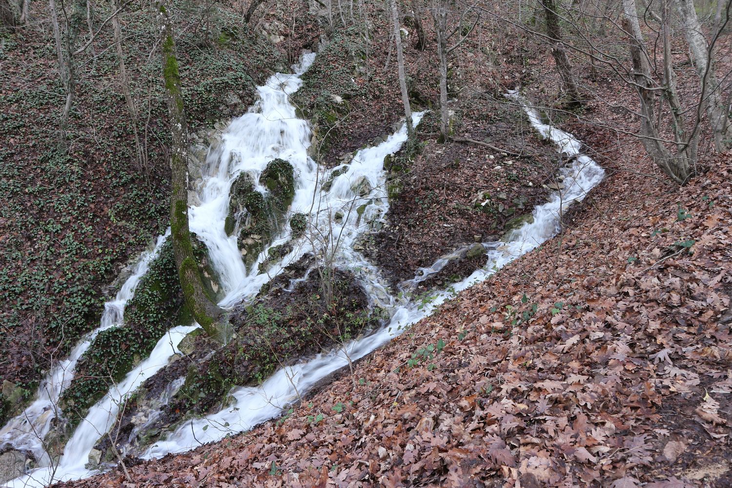 Окрестности озера Сукко, image of landscape/habitat.