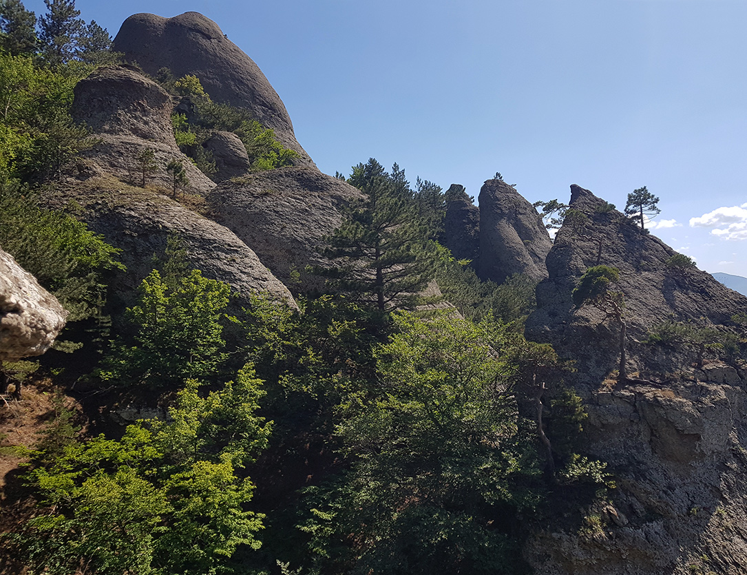 Южная Демерджи, image of landscape/habitat.