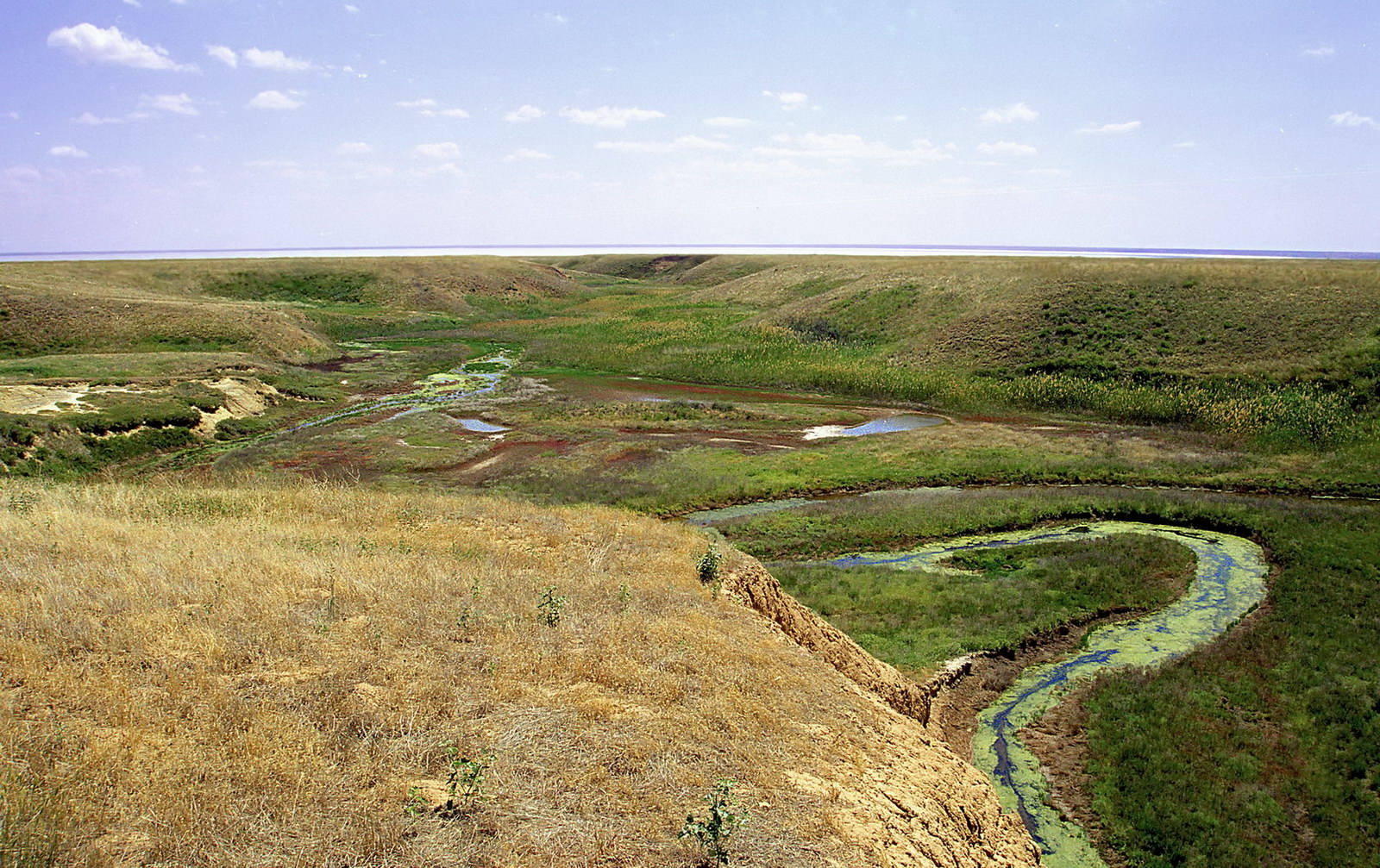 Эльтон, image of landscape/habitat.