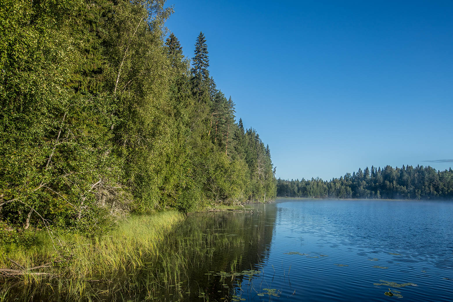 Ристиярви, image of landscape/habitat.