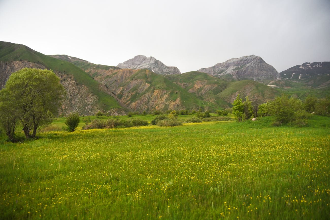 Кучанис, изображение ландшафта.
