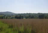 Image of landscape