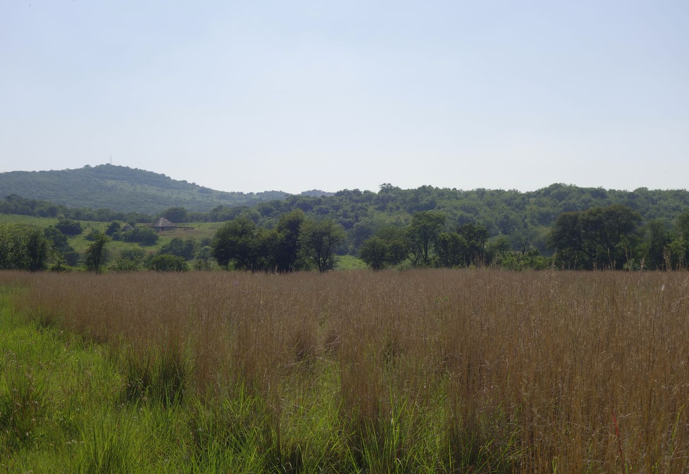 Клиприверсберг, image of landscape/habitat.