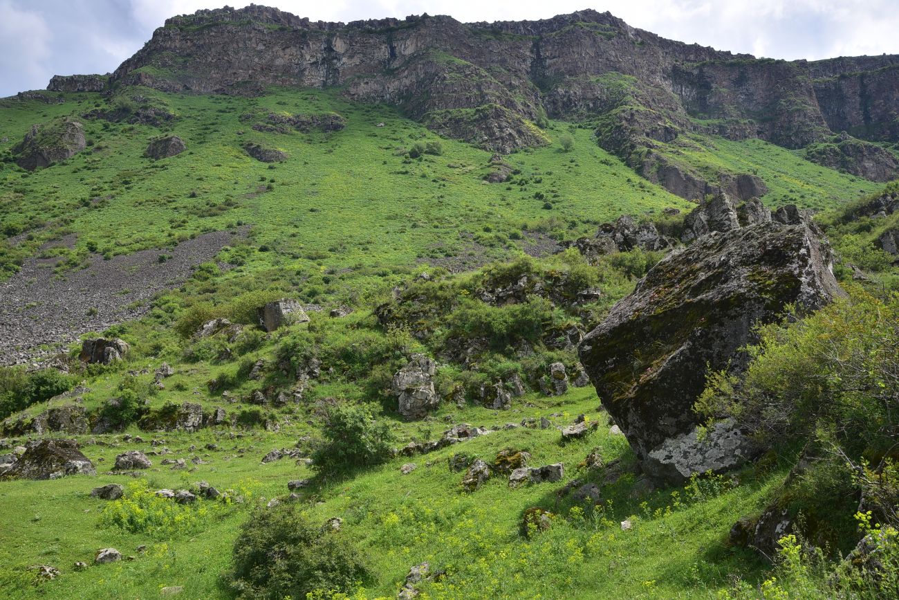 Урочище Бертахана, image of landscape/habitat.