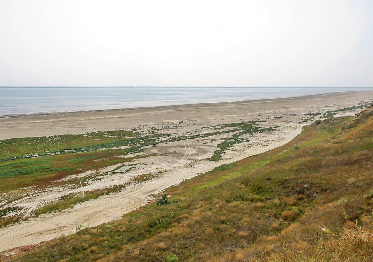 Витязевский лиман, image of landscape/habitat.