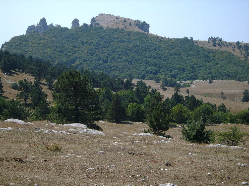 Ай-Петринская яйла, изображение ландшафта.