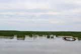 Изображение ландшафта
