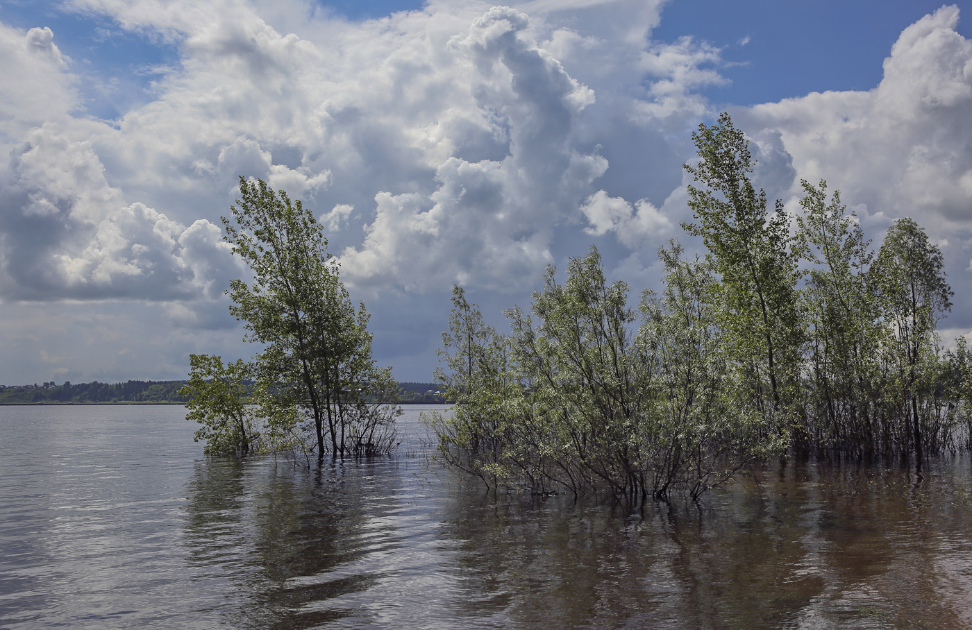 Закамск, image of landscape/habitat.