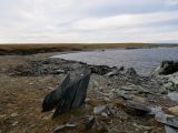Landscape image