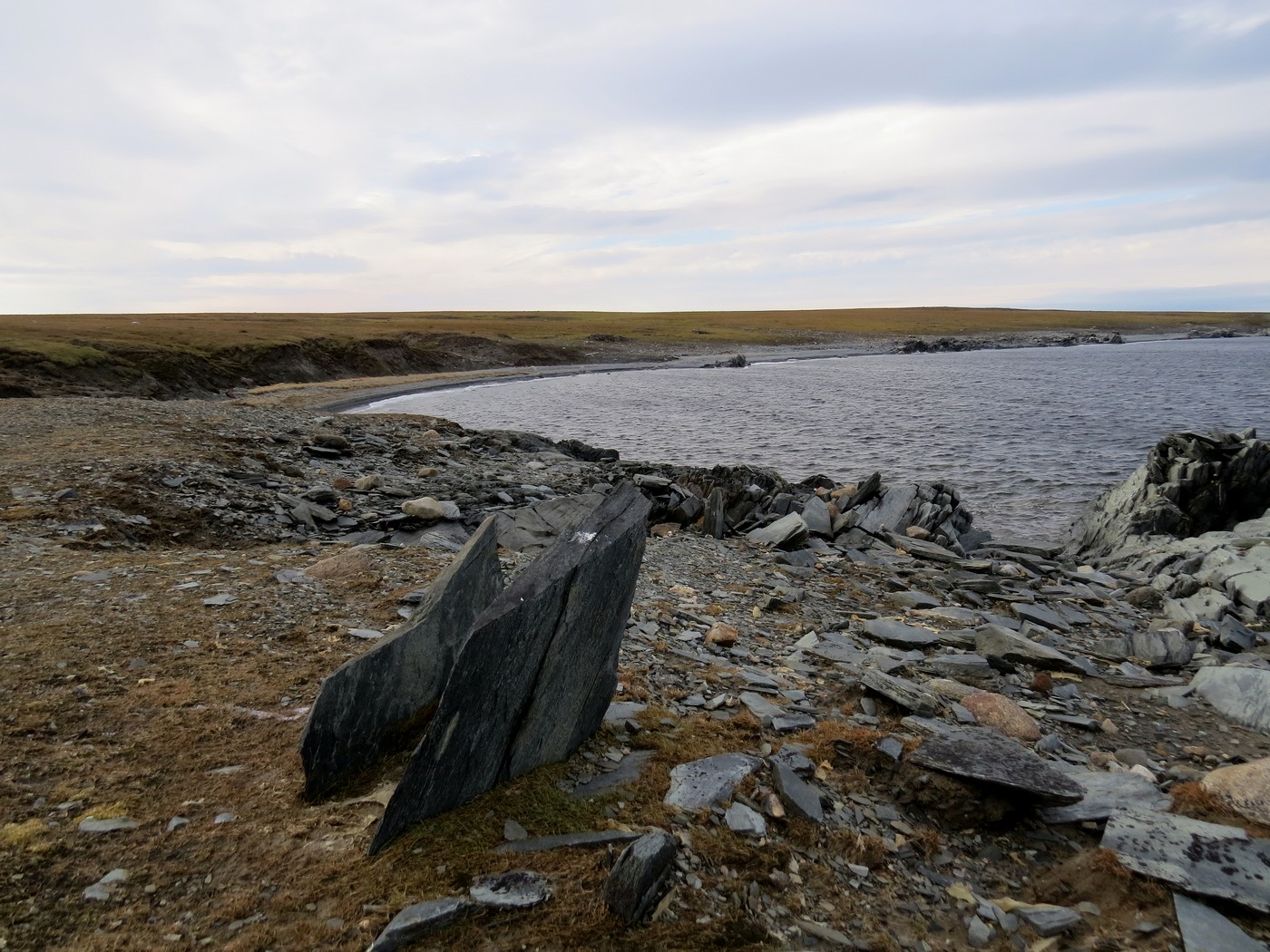 Остров Колчака, image of landscape/habitat.