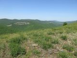 Image of landscape