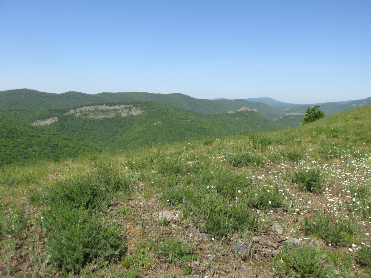 Чатал-Кая и окрестности, image of landscape/habitat.