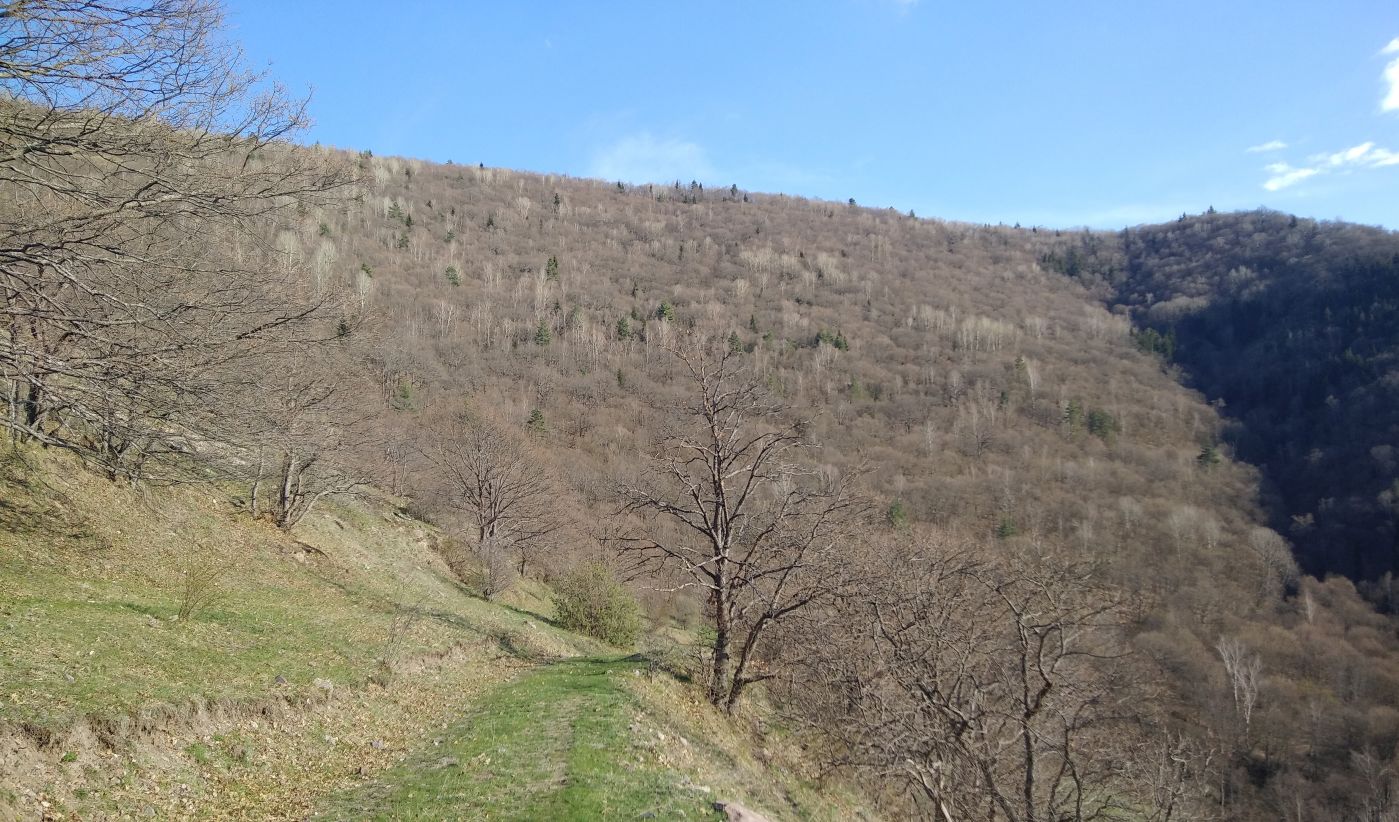 Окрестности монастыря Агара, изображение ландшафта.