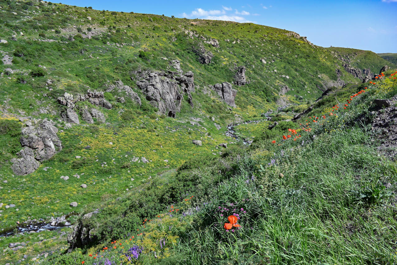 Крепость Амберд, изображение ландшафта.