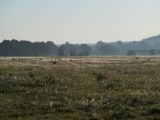 Image of landscape