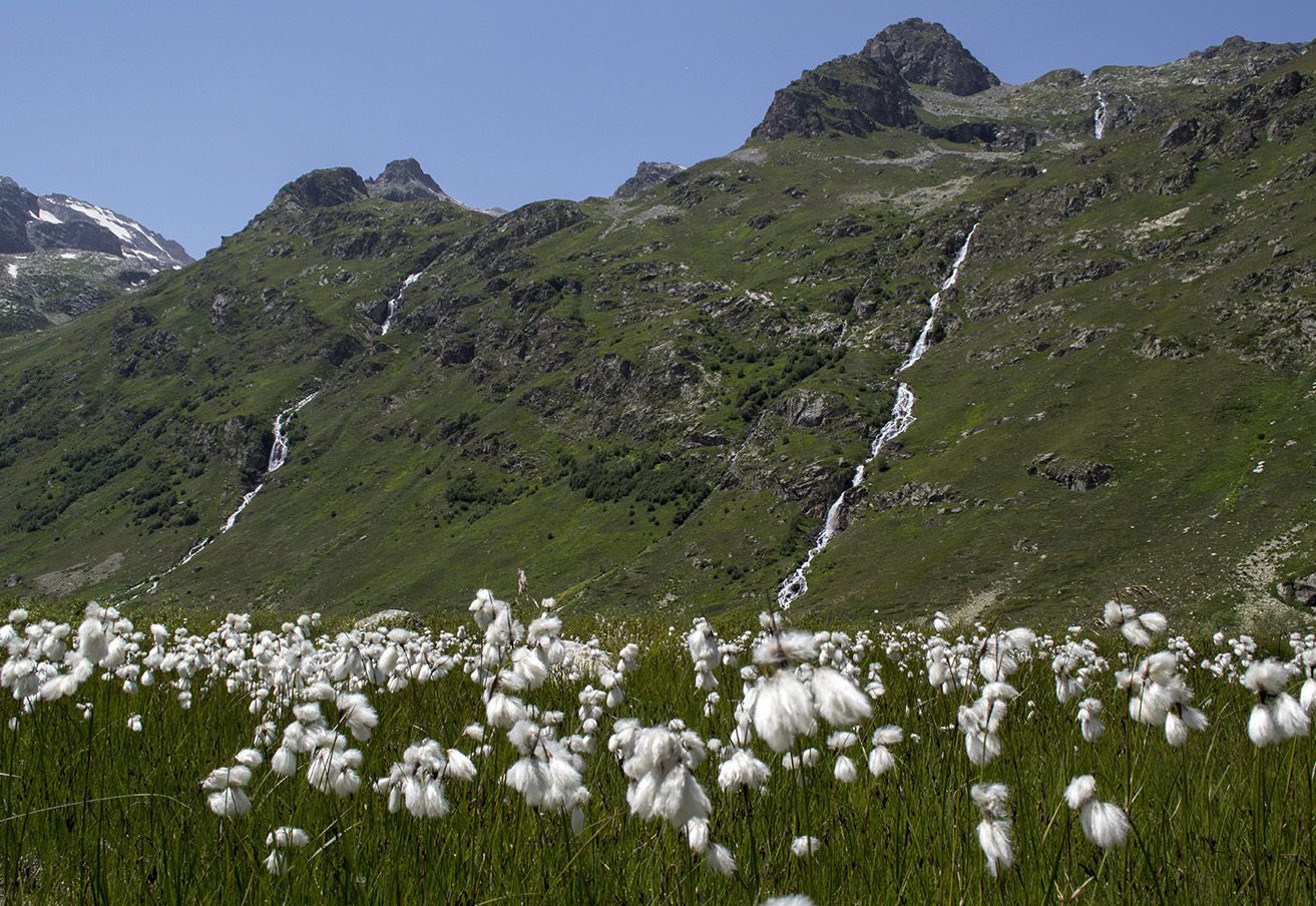 Ущелье Мырды, image of landscape/habitat.