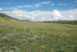 Image of landscape