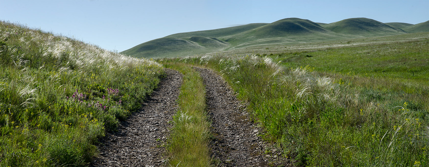 Ногайские горы, image of landscape/habitat.