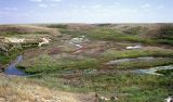 Image of landscape