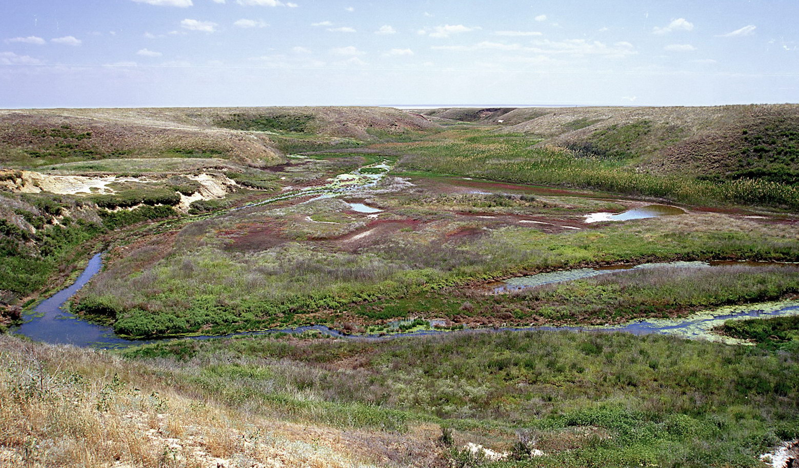 Эльтон, image of landscape/habitat.