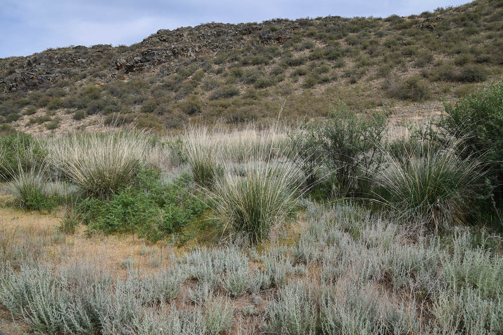 Тамгалы (Танбалы), image of landscape/habitat.