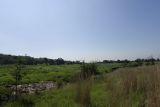 Image of landscape