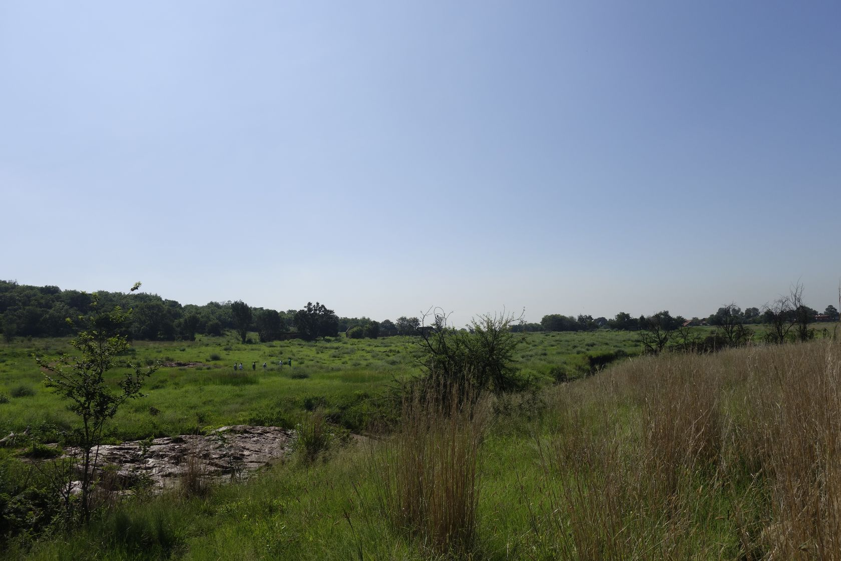 Клиприверсберг, image of landscape/habitat.
