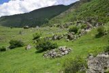 Image of landscape