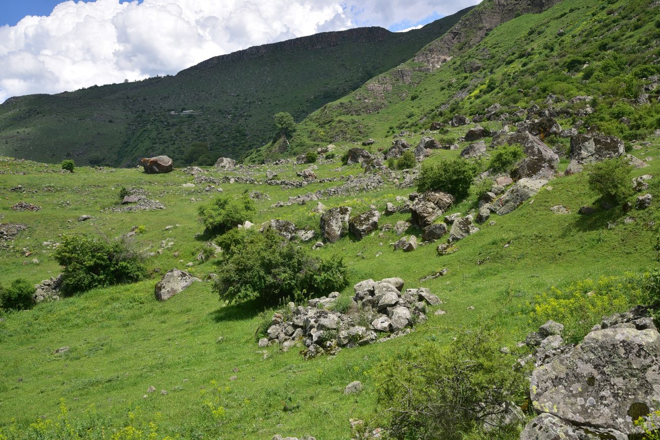Урочище Бертахана, image of landscape/habitat.