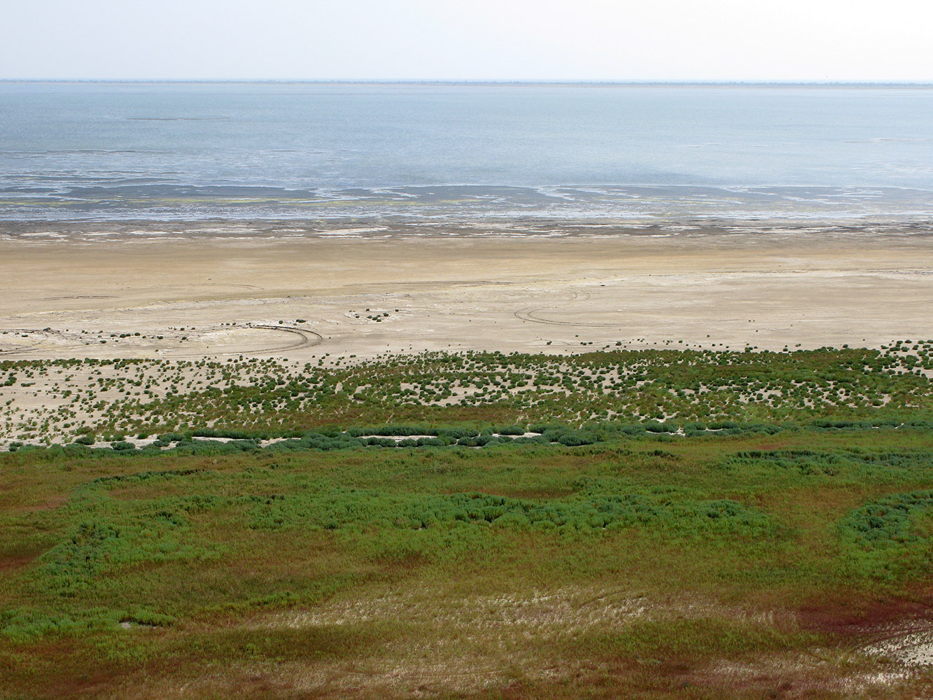 Витязевский лиман, image of landscape/habitat.