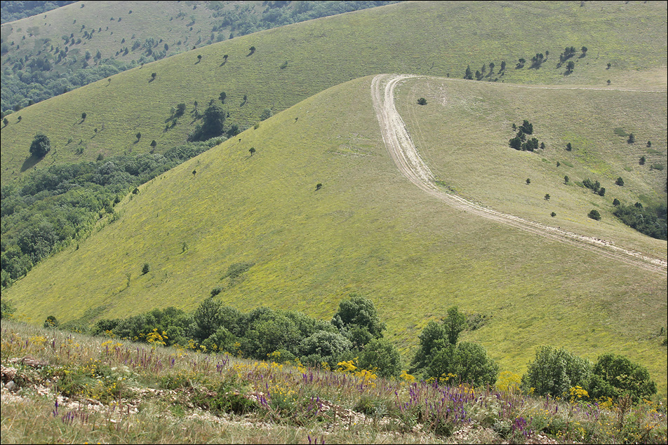 Отроги горы Совхозная, image of landscape/habitat.