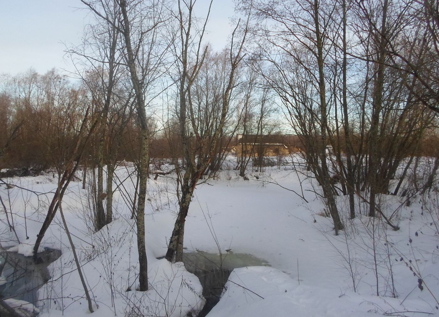 Чистая Дуброва, image of landscape/habitat.