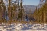 Инзерские Зубчатки, image of landscape/habitat.