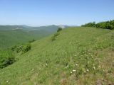 Image of landscape