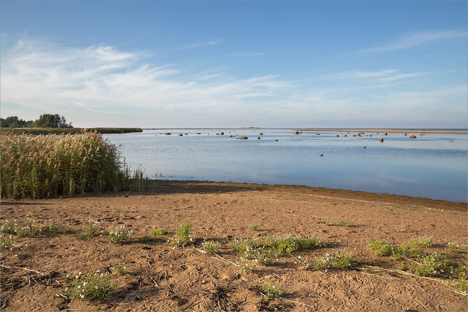 Кургальский риф, image of landscape/habitat.
