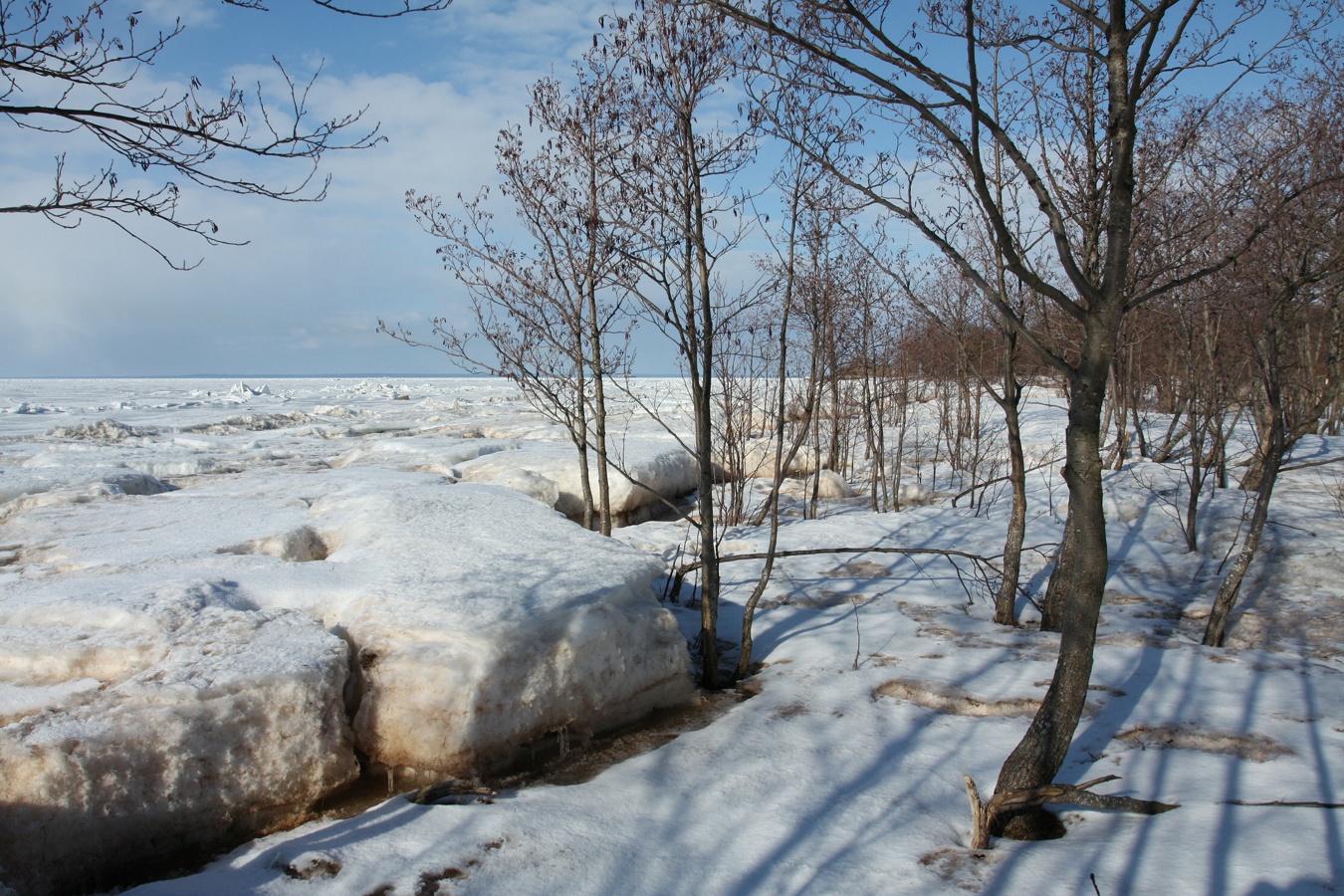 Шепелёвский маяк, image of landscape/habitat.