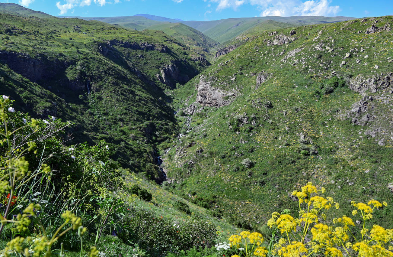 Крепость Амберд, image of landscape/habitat.
