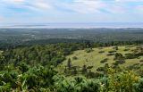 Вулкан Головнина, image of landscape/habitat.