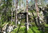 Окрестности поселка Вокнаволок, image of landscape/habitat.