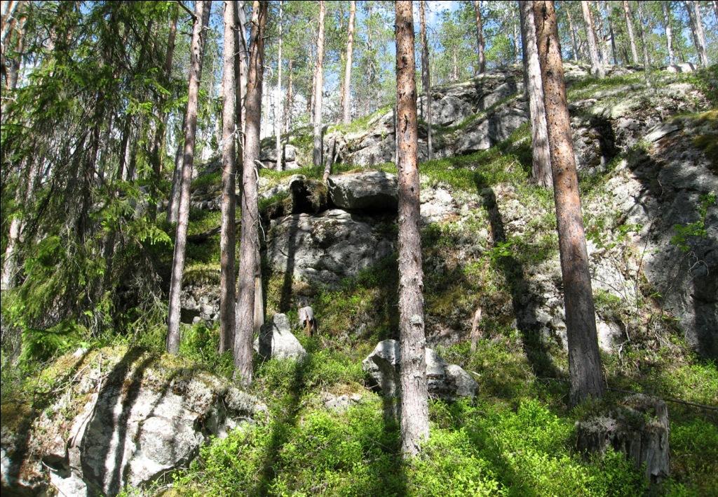 Окрестности поселка Вокнаволок, image of landscape/habitat.