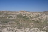 Image of landscape