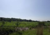 Image of landscape