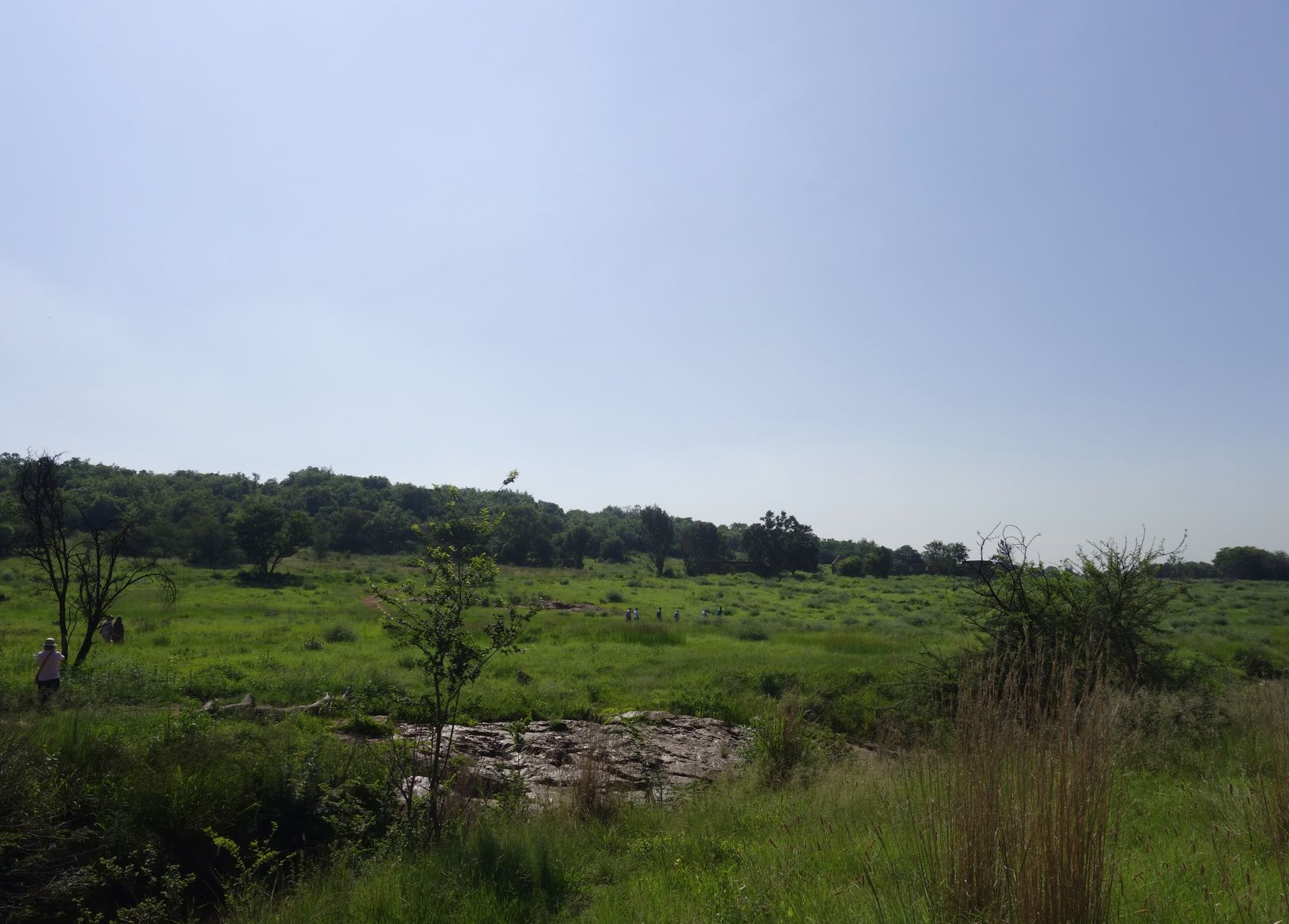 Клиприверсберг, image of landscape/habitat.