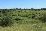 Местечко и окрестности, image of landscape/habitat.