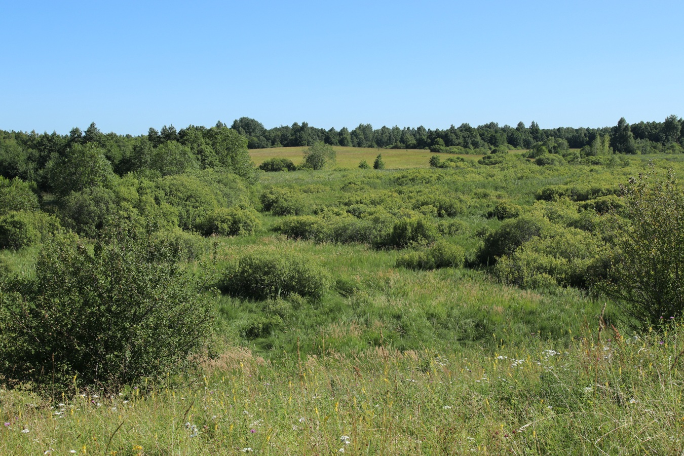 Местечко и окрестности, image of landscape/habitat.