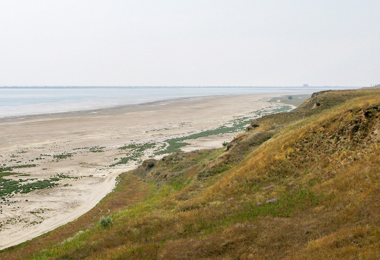 Витязевский лиман, image of landscape/habitat.